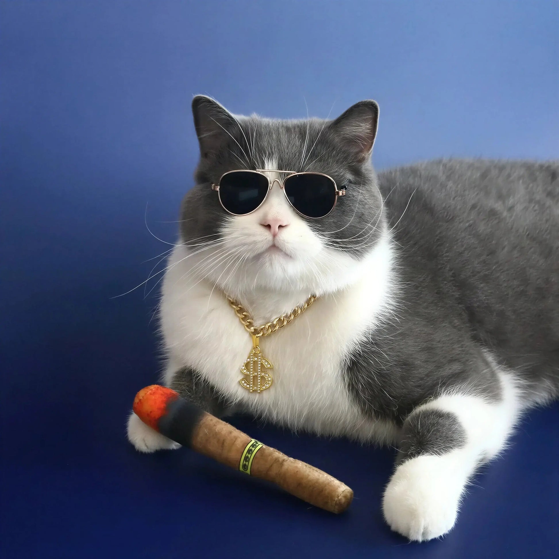Collier Chat avec Pendentif Dollar Pour toi Mon chat