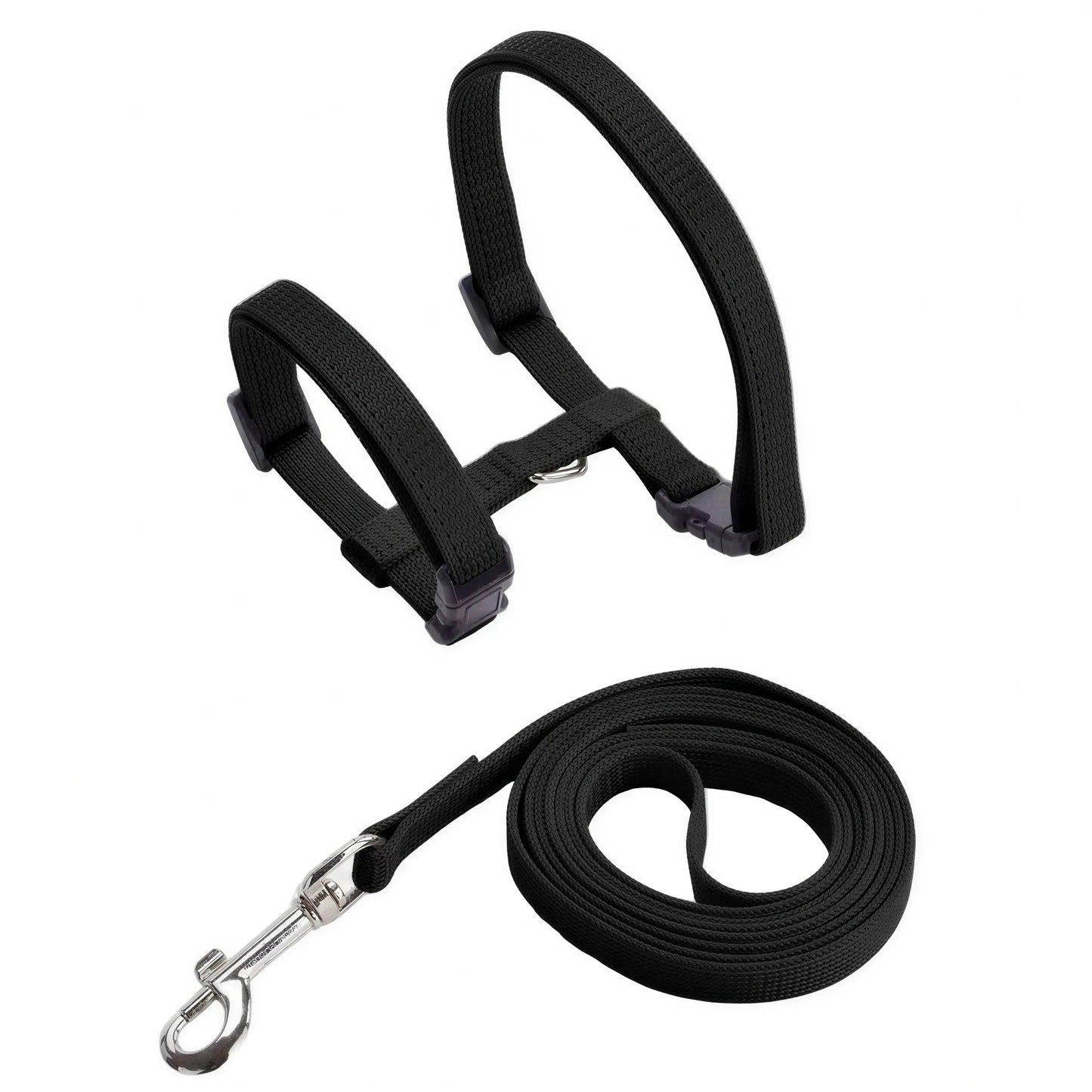 Collier anti-fuite pour chaton Pour toi Mon chat