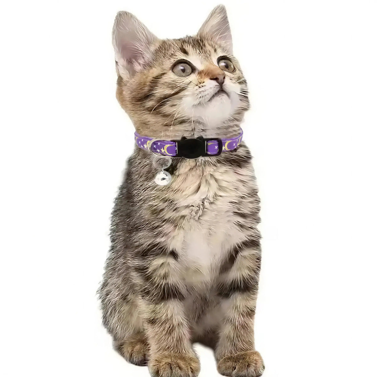 Collier pour Chat Lune Etoile avec Clochette Pour toi Mon chat