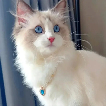 Collier pour Chat en Perles Pour toi Mon chat