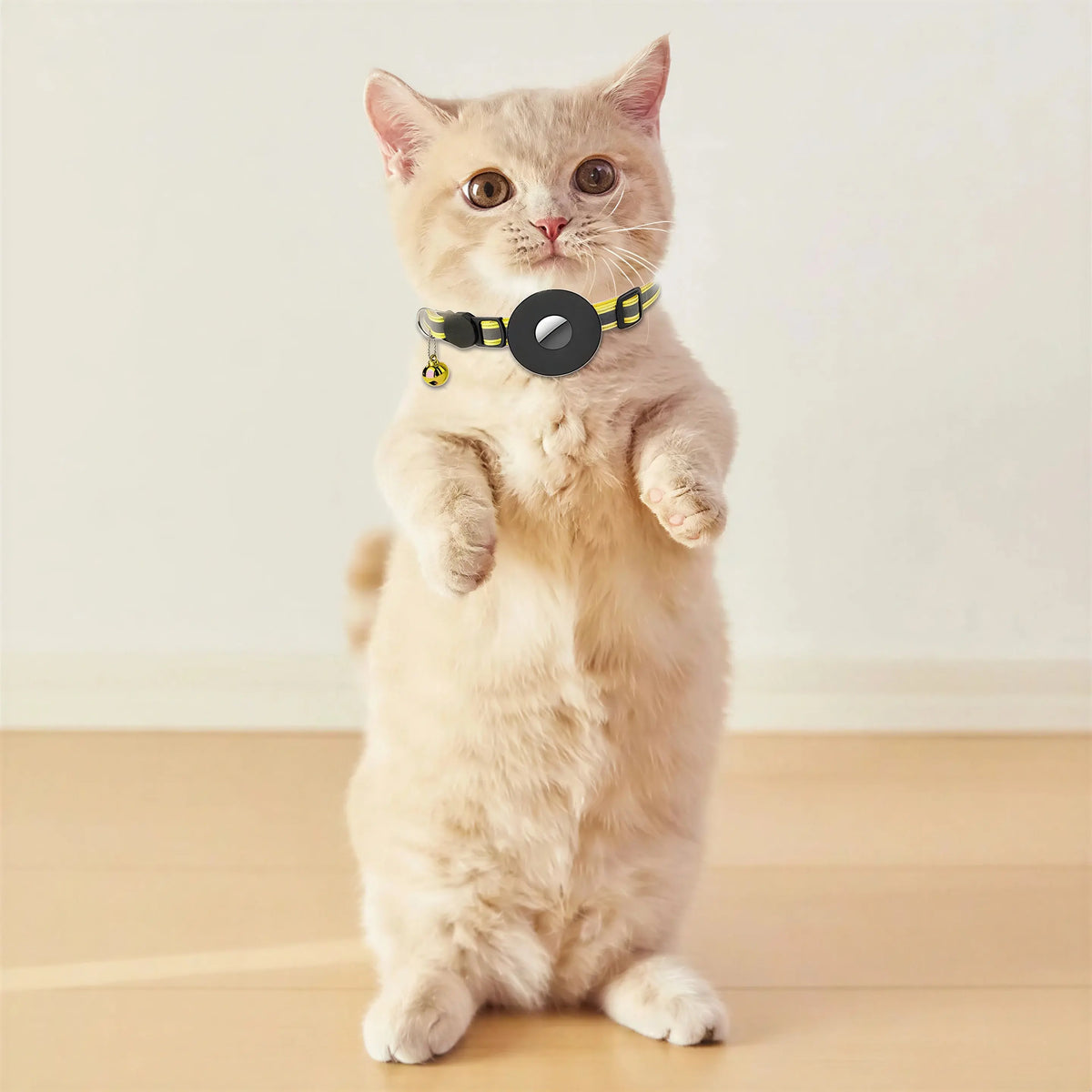 Collier support de repérage GPS pour chat Pour toi Mon chat
