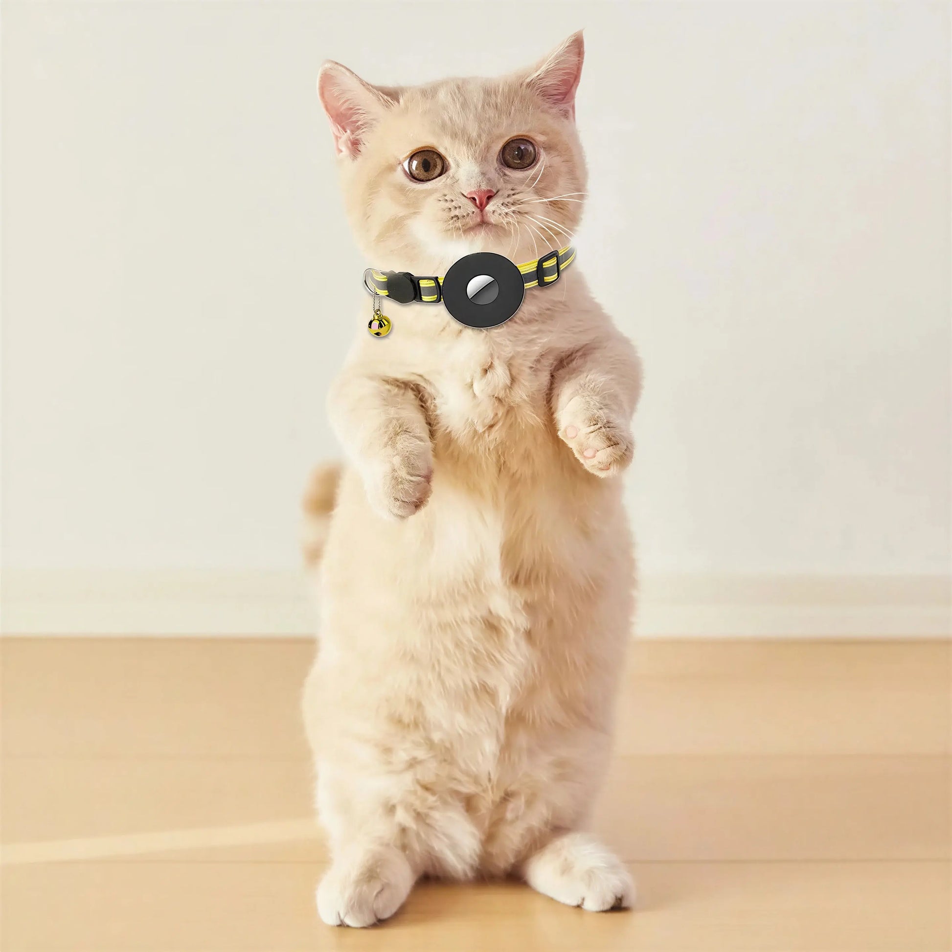 Collier support de repérage GPS pour chat Pour toi Mon chat