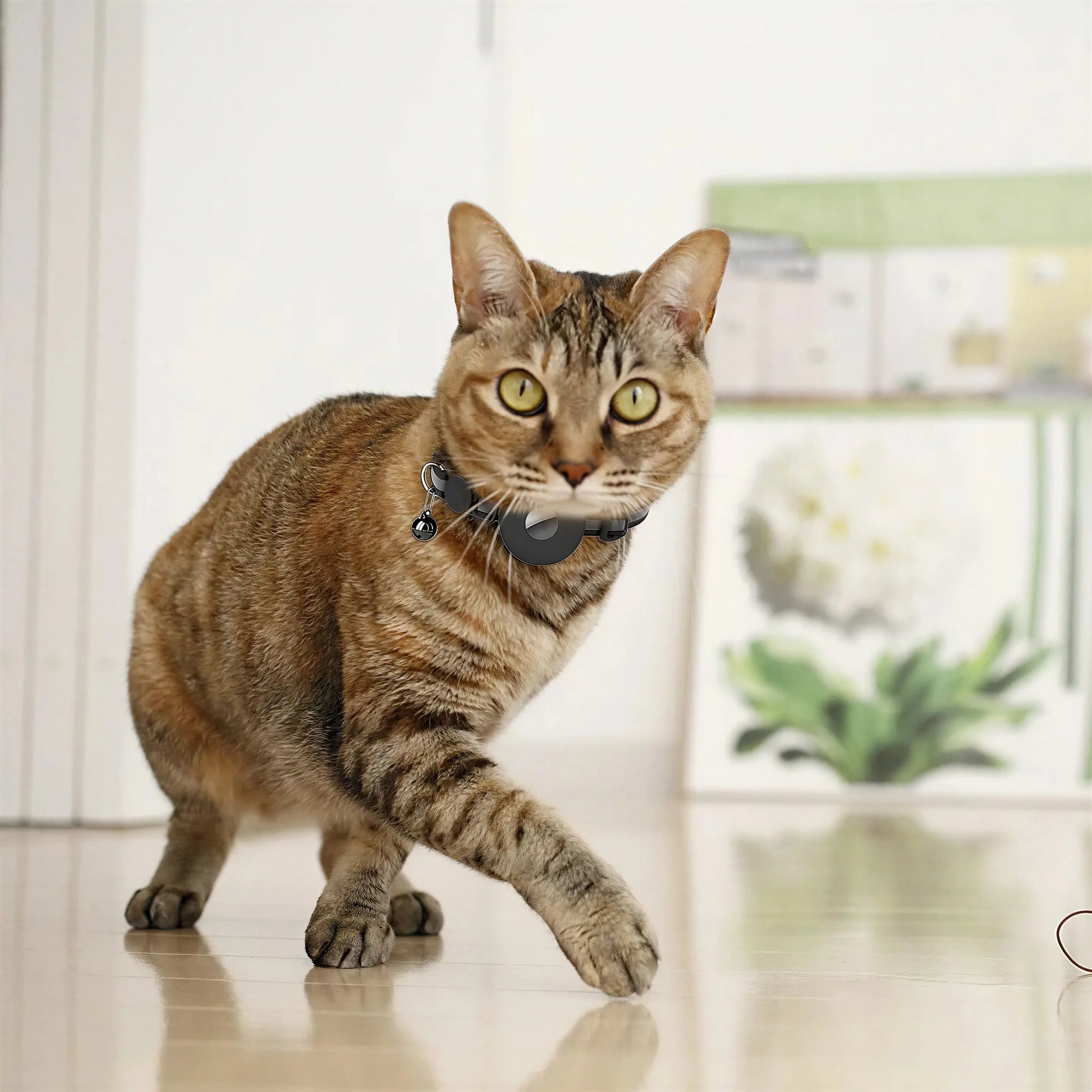Collier support de repérage GPS pour chat Pour toi Mon chat