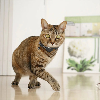 Collier support de repérage GPS pour chat Pour toi Mon chat