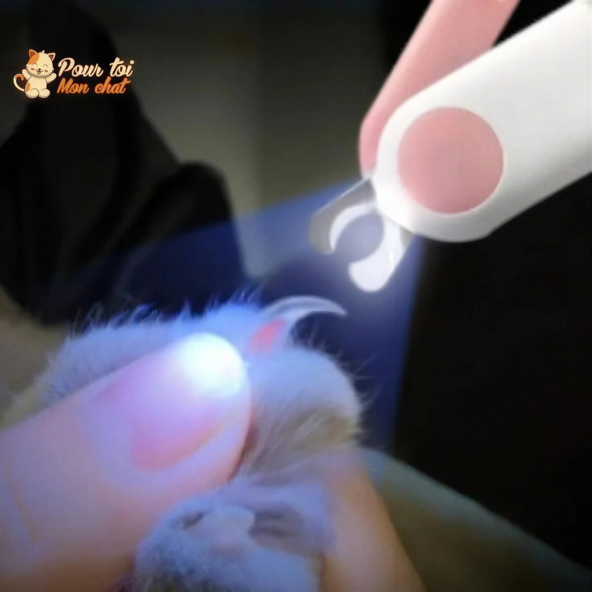Coupe ongles sécurisé à LED - chat - chien - lapin - GriffouNet’™ Pour toi Mon chat