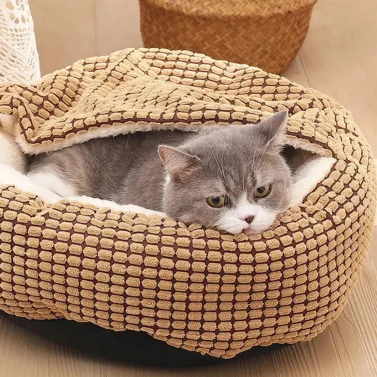Coussin Chat Doux Avec Couverture Intégrée Pour toi Mon chat