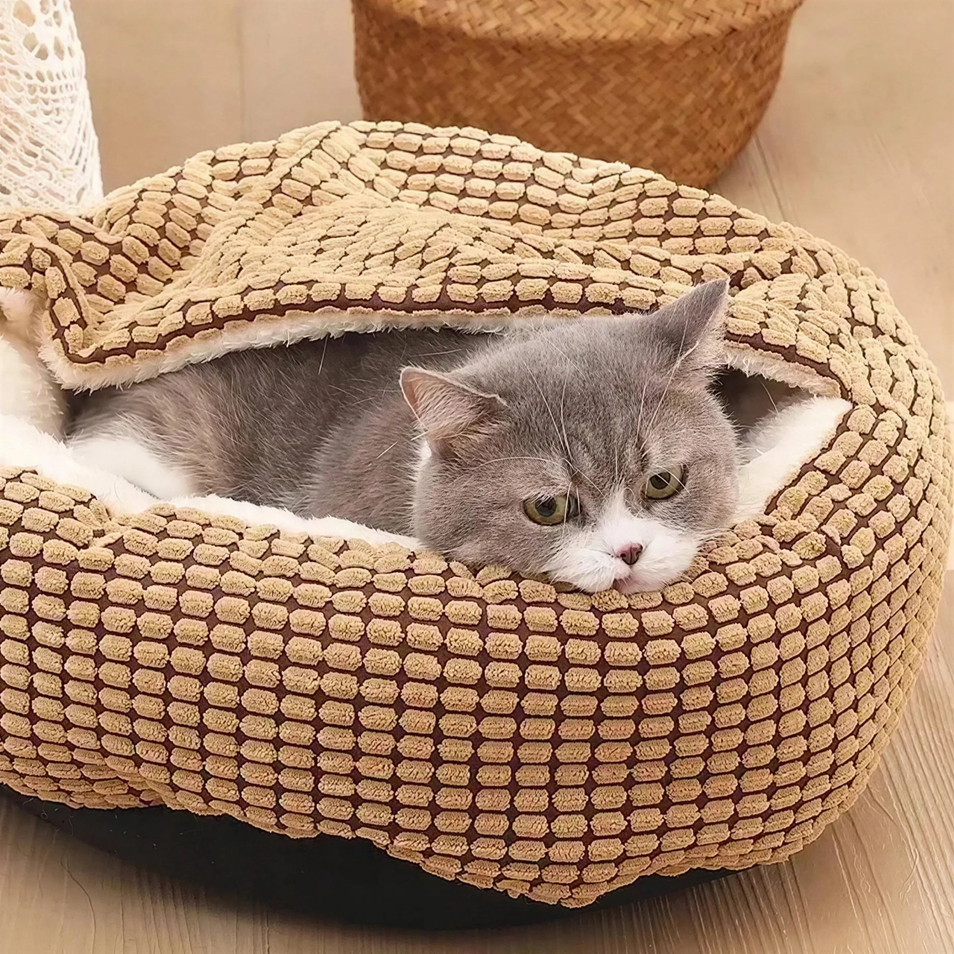 Coussin Chat Doux Avec Couverture Intégrée Pour toi Mon chat