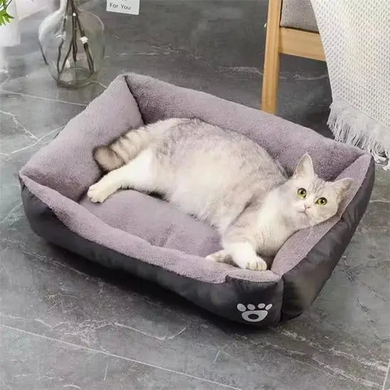 Coussin Chat, Maison, Niche, Confortable Repos Douillet Garanti Pour toi Mon chat noir sur sol carrelage gris et rideaux blancs