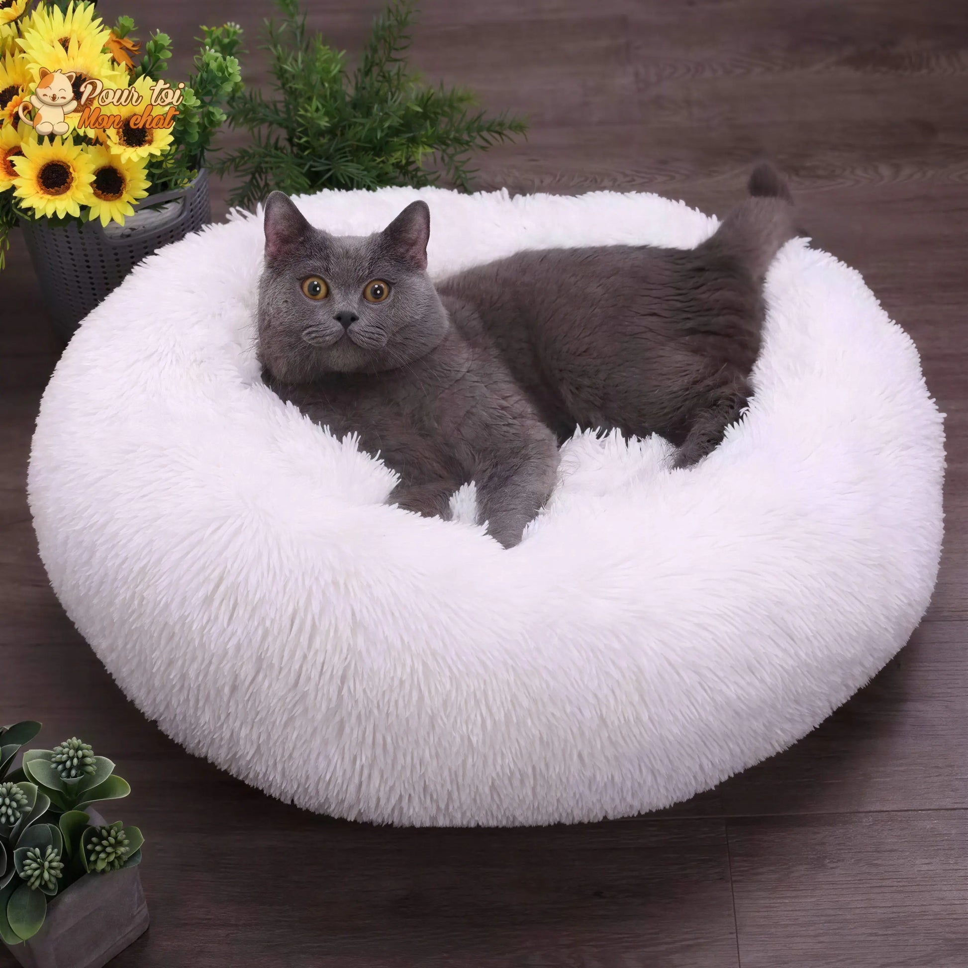 Coussin chat, maison pour chat, niche pour chat, COUSSINOO™ Pour toi Mon chat