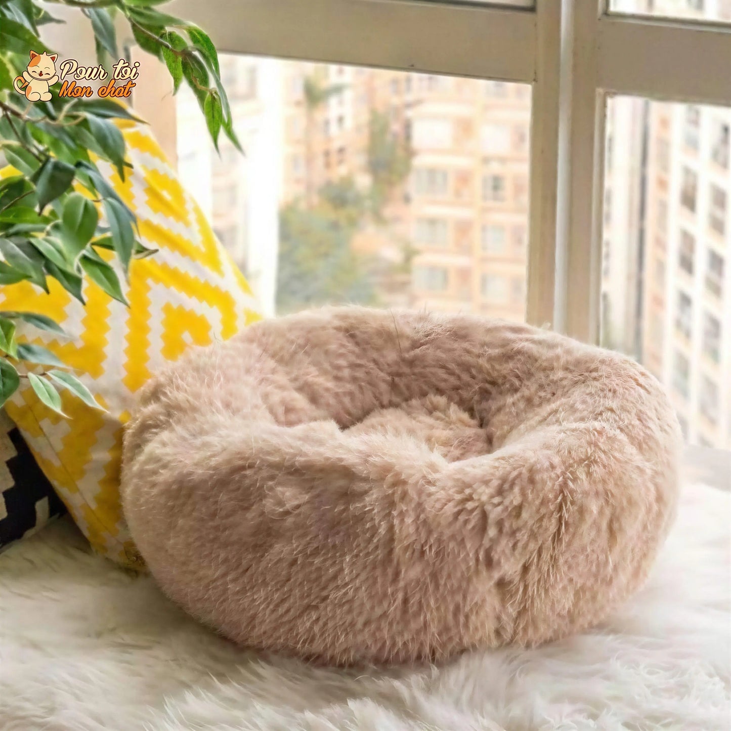 Coussin chat, maison pour chat, niche pour chat, COUSSINOO™ Pour toi Mon chat