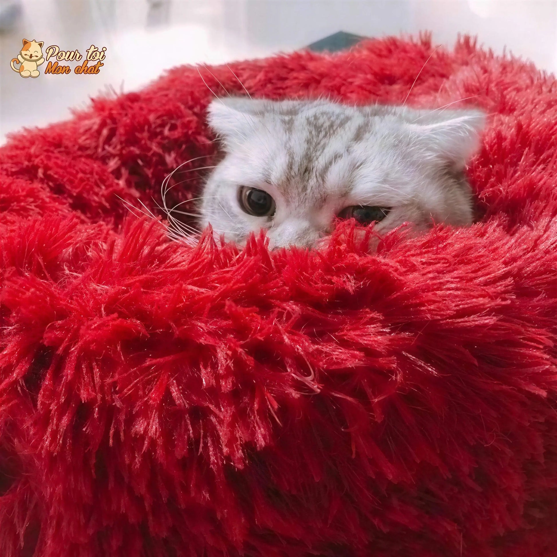 Coussin chat, maison pour chat, niche pour chat, COUSSINOO™ Pour toi Mon chat