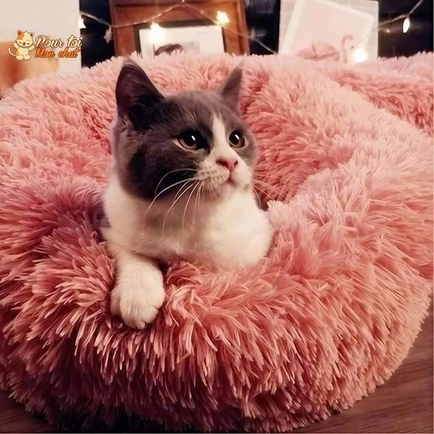 Coussin chat, maison pour chat, niche pour chat, COUSSINOO™ Pour toi Mon chat