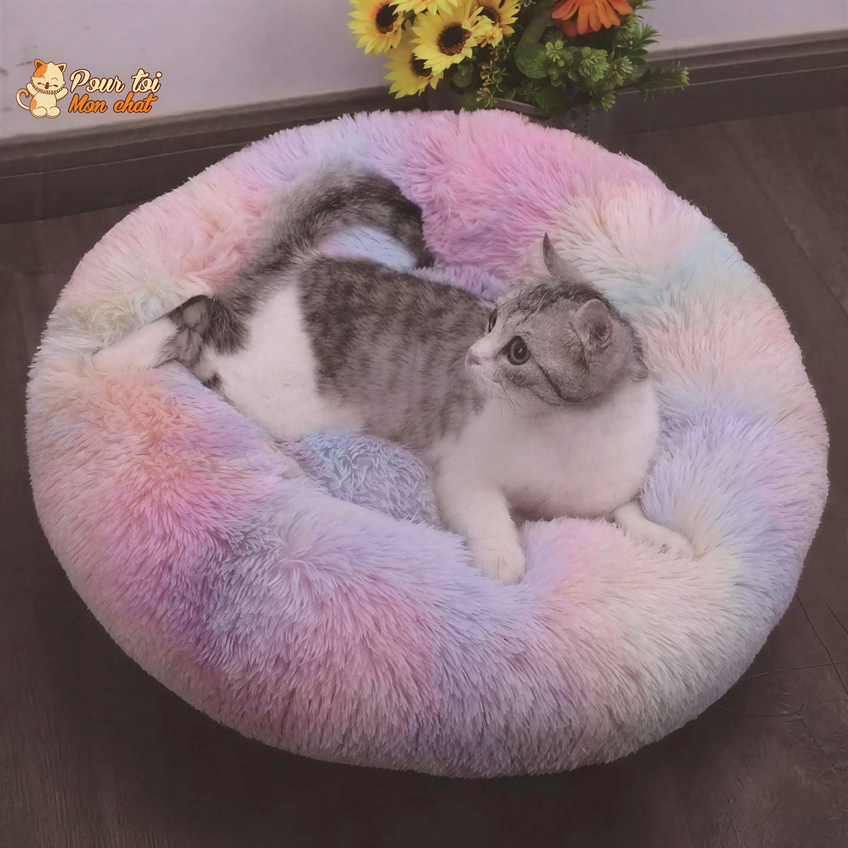 Coussin chat, maison pour chat, niche pour chat, COUSSINOO™ Pour toi Mon chat