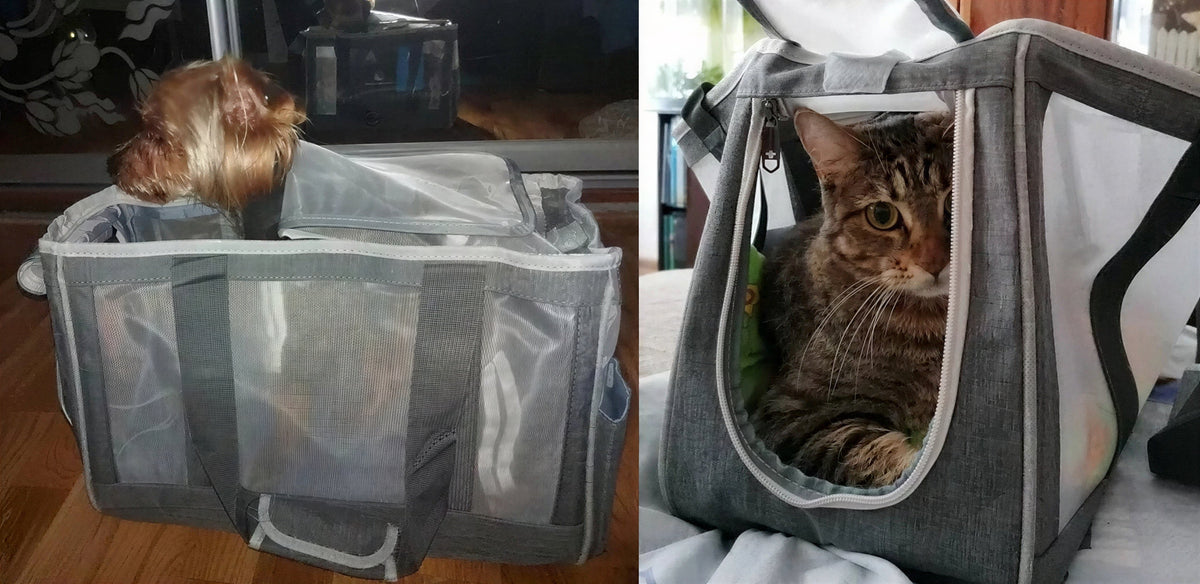 Sac à main de transport respirant pour chat Pour toi Mon chat