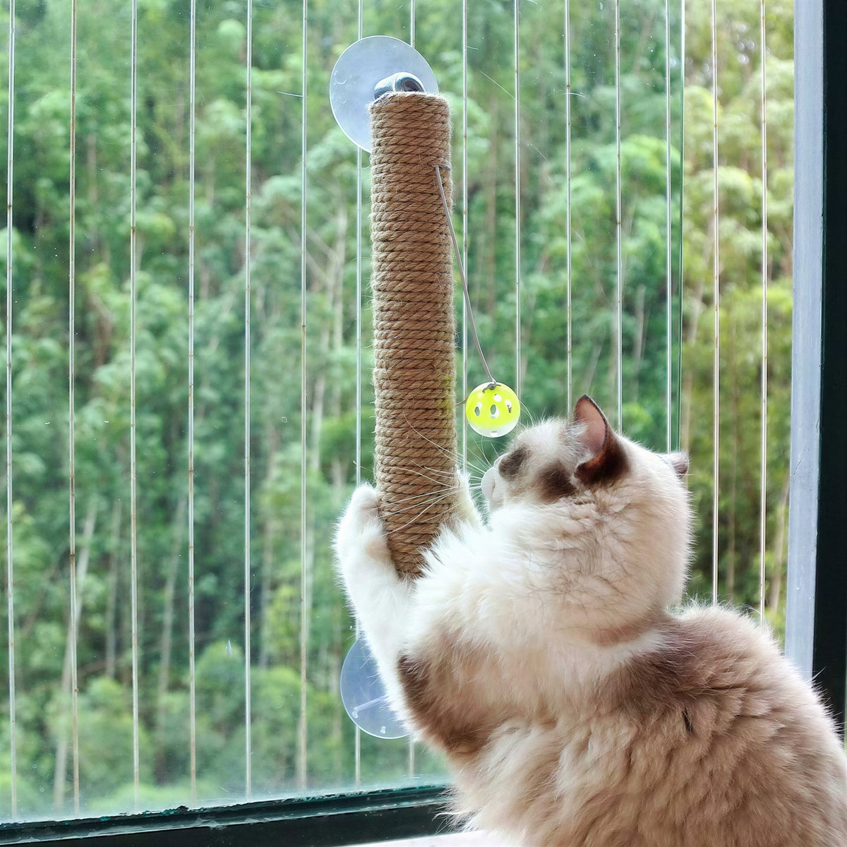 Jouet à gratter avec boule pour chat - vue 5