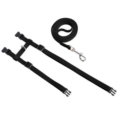 Collier en nylon réglable pour chat Pour toi Mon chat
