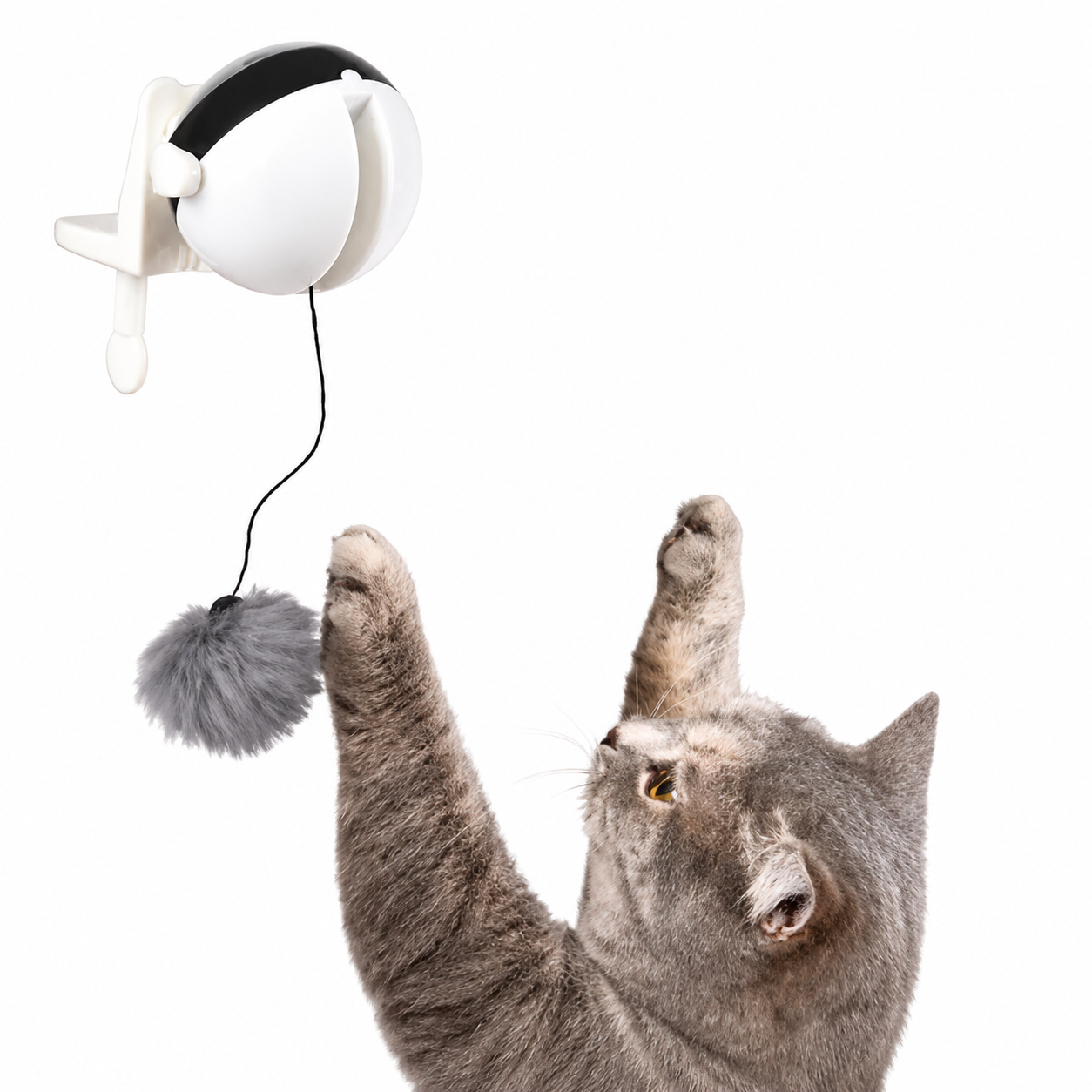 Balle Interactive pour chat - Attrap'Ball™ Pour toi Mon chat
