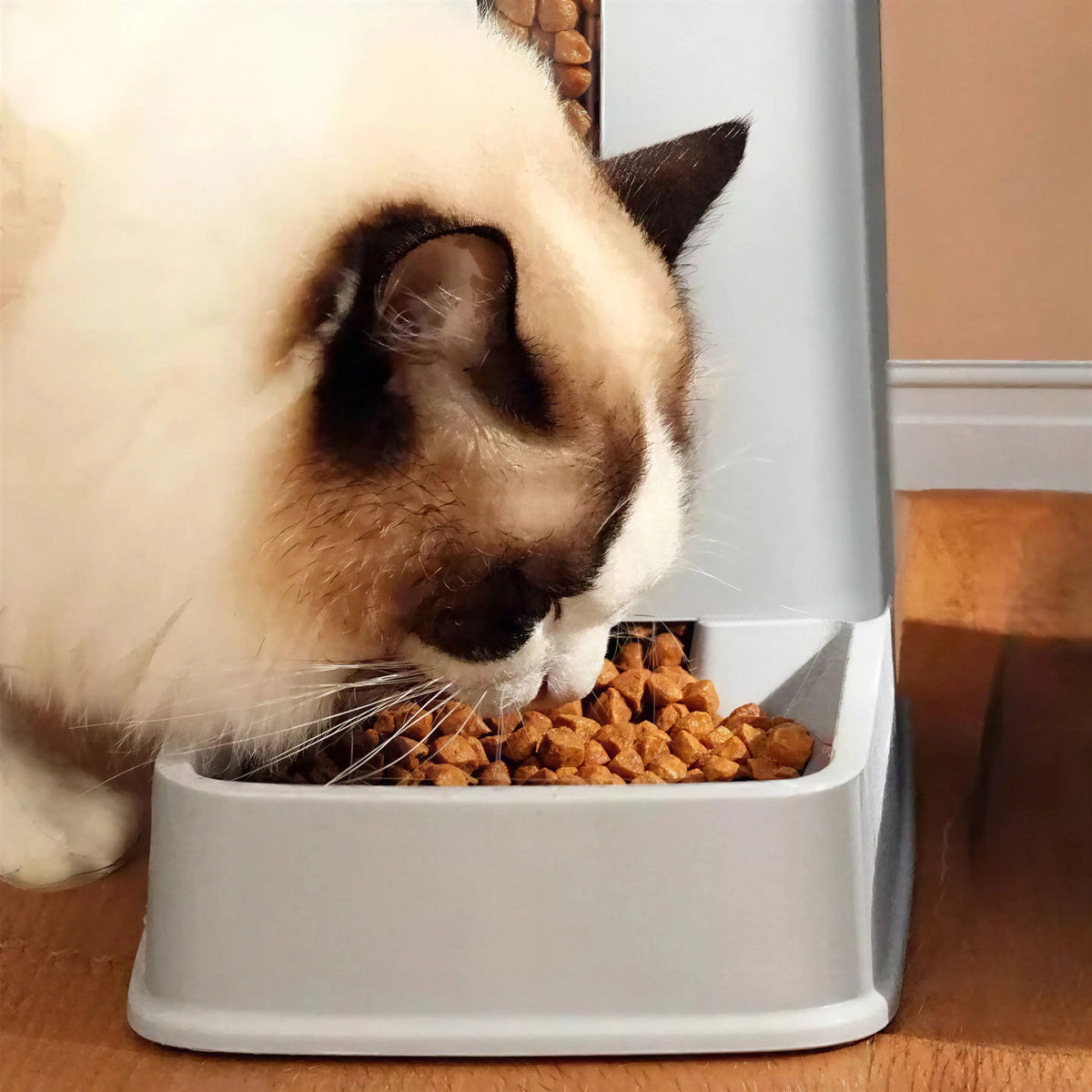 Distributeur Croquettes Chat Compact et Antidérapant en Plastique Pour toi Mon chat