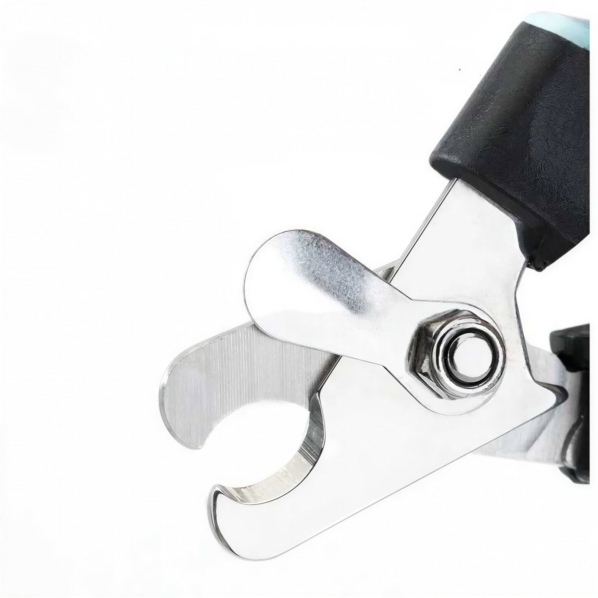 Coupe-ongles professionnel en acier inoxydable pour chat Pour toi Mon chat