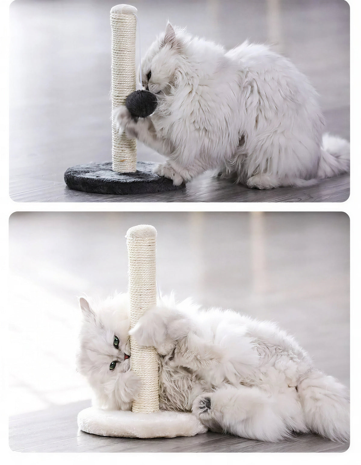 Tour de saut pour chat avec corde en sisal Pour toi Mon chat