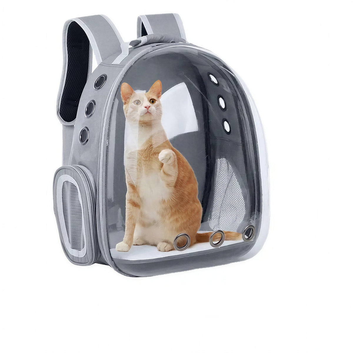Sac à dos d'extérieur respirant pour chat Pour toi Mon chat