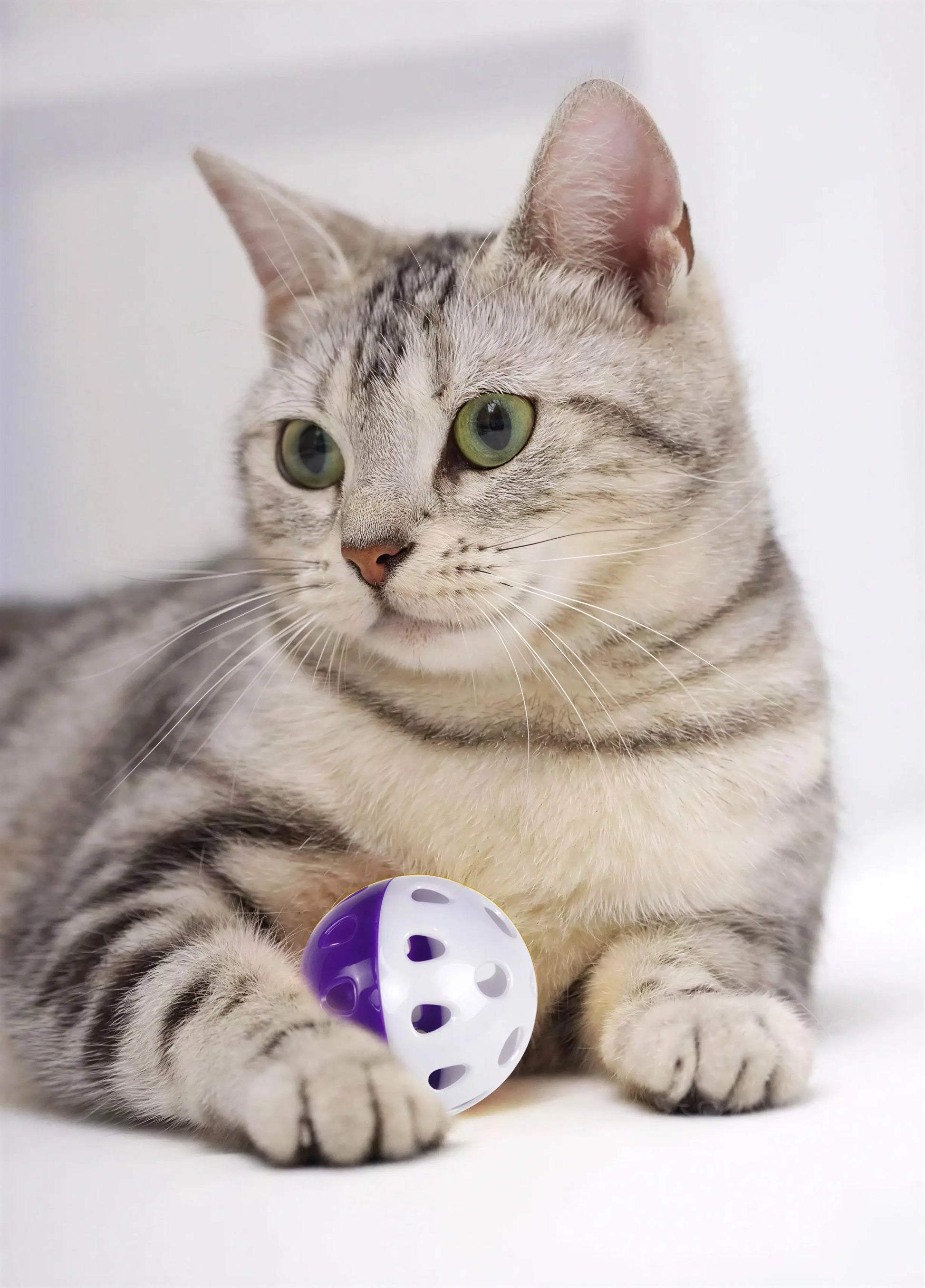 Ensemble de six boules amusantes avec cloche pour chat Pour toi Mon chat