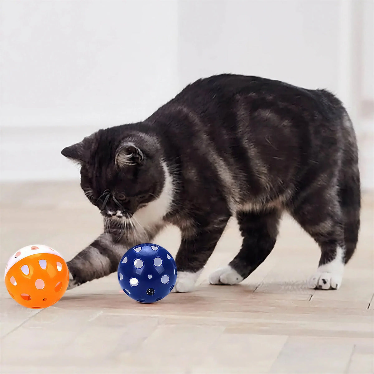 Ensemble de six boules amusantes avec cloche pour chat Pour toi Mon chat