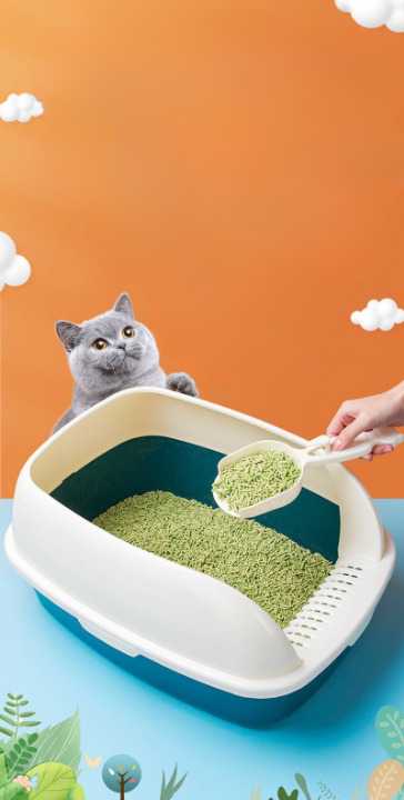 Ensemble de toilette pour chat Pour toi Mon chat