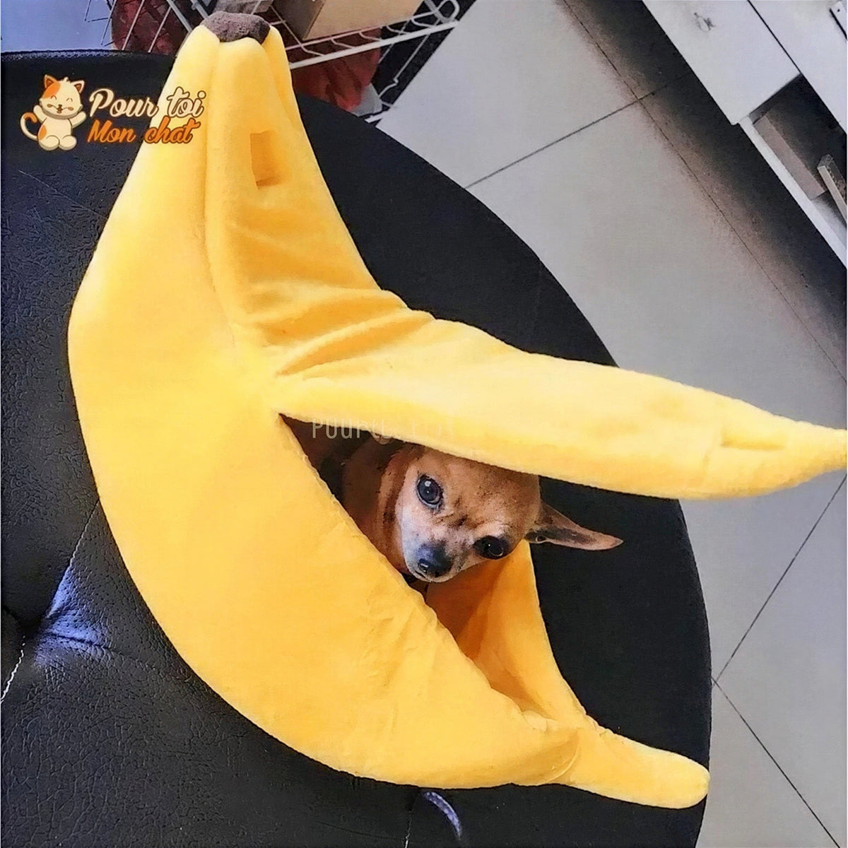 LIT BANANE POUR CHAT – Banana’Chat™ Pour toi Mon chat