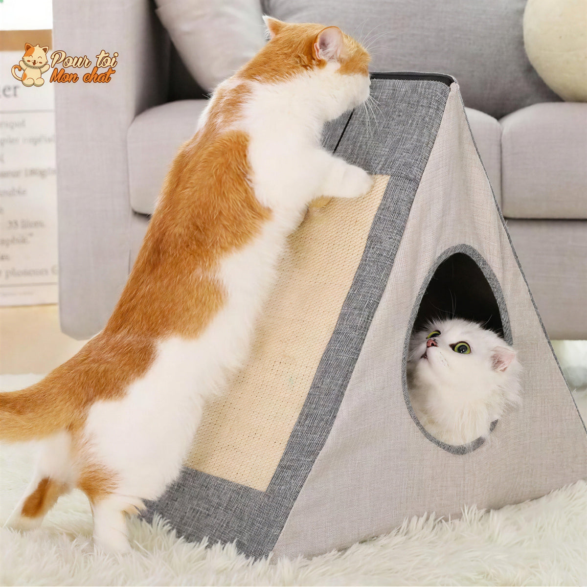 Niche pour Chat avec Grattoir - Crazybed™ Pour toi Mon chat