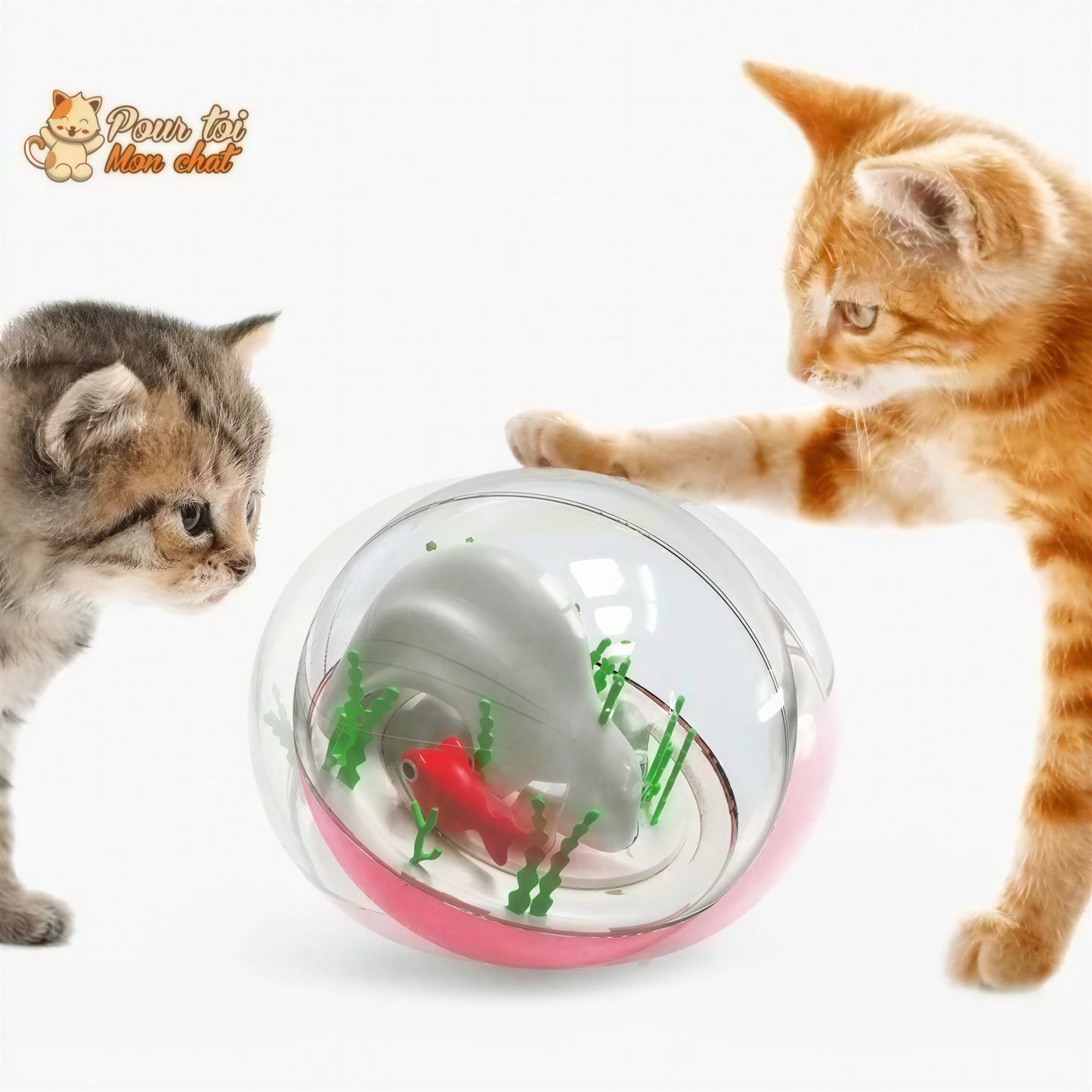 Balle de jeu interactive “aquarium” pour chat - AQUA'CHAT™ Pour toi Mon chat