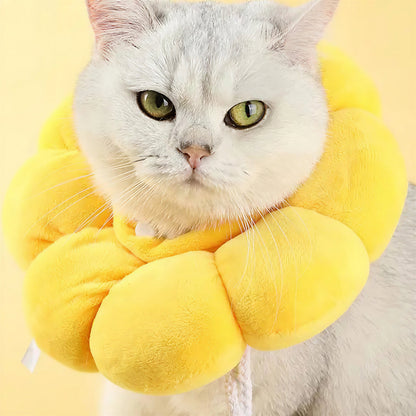 Collerette Chat Souple et Ajustable en Forme de Fleur Pour toi Mon chat