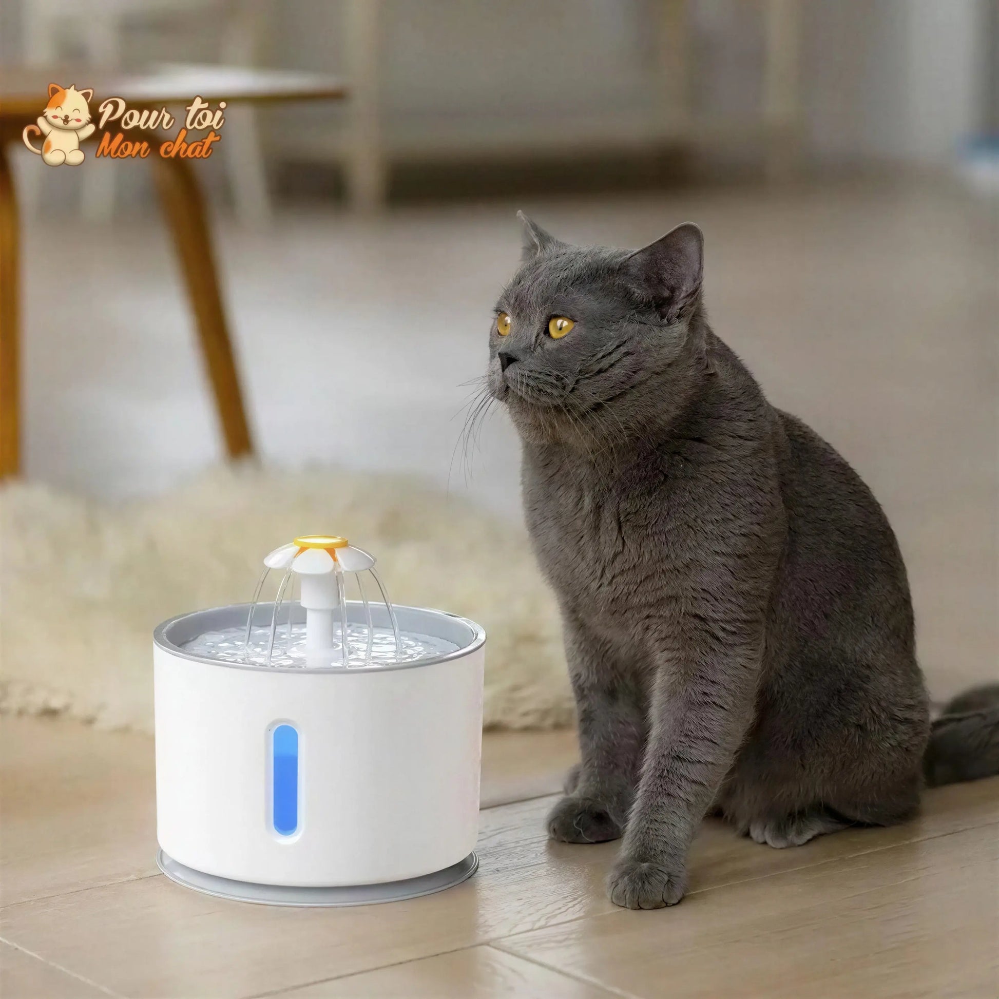 Fontaine à Eau Silencieuse pour Chat - WaterCat™ Pour toi Mon chat