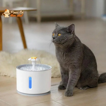 Fontaine à Eau Silencieuse pour Chat - WaterCat™ Pour toi Mon chat
