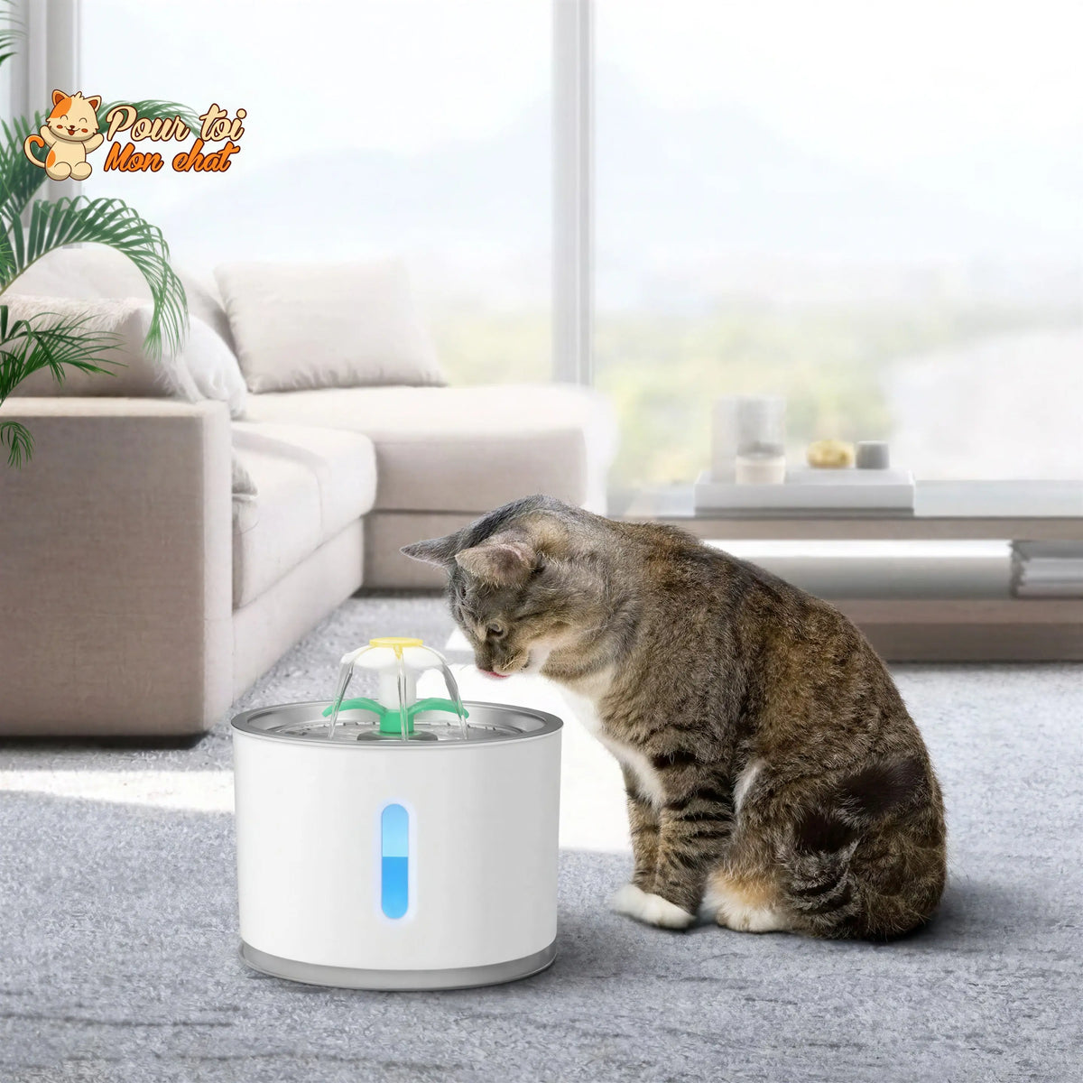 Fontaine à Eau Silencieuse pour Chat - WaterCat™ Pour toi Mon chat