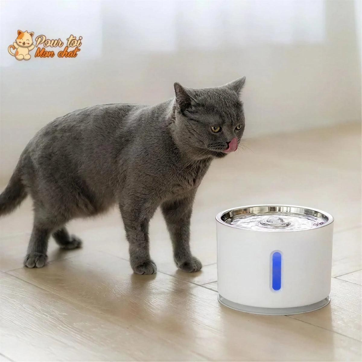 Fontaine à Eau Silencieuse pour Chat - WaterCat™ Pour toi Mon chat