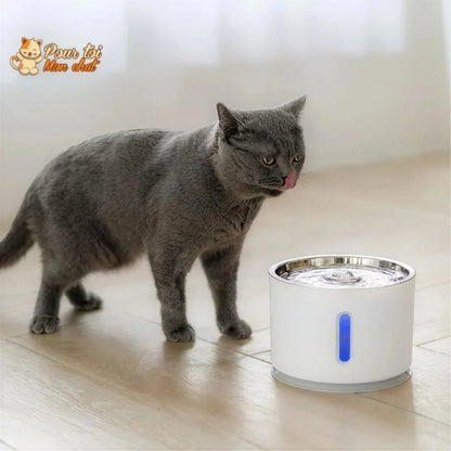 Fontaine à Eau Silencieuse pour Chat - WaterCat™ Pour toi Mon chat