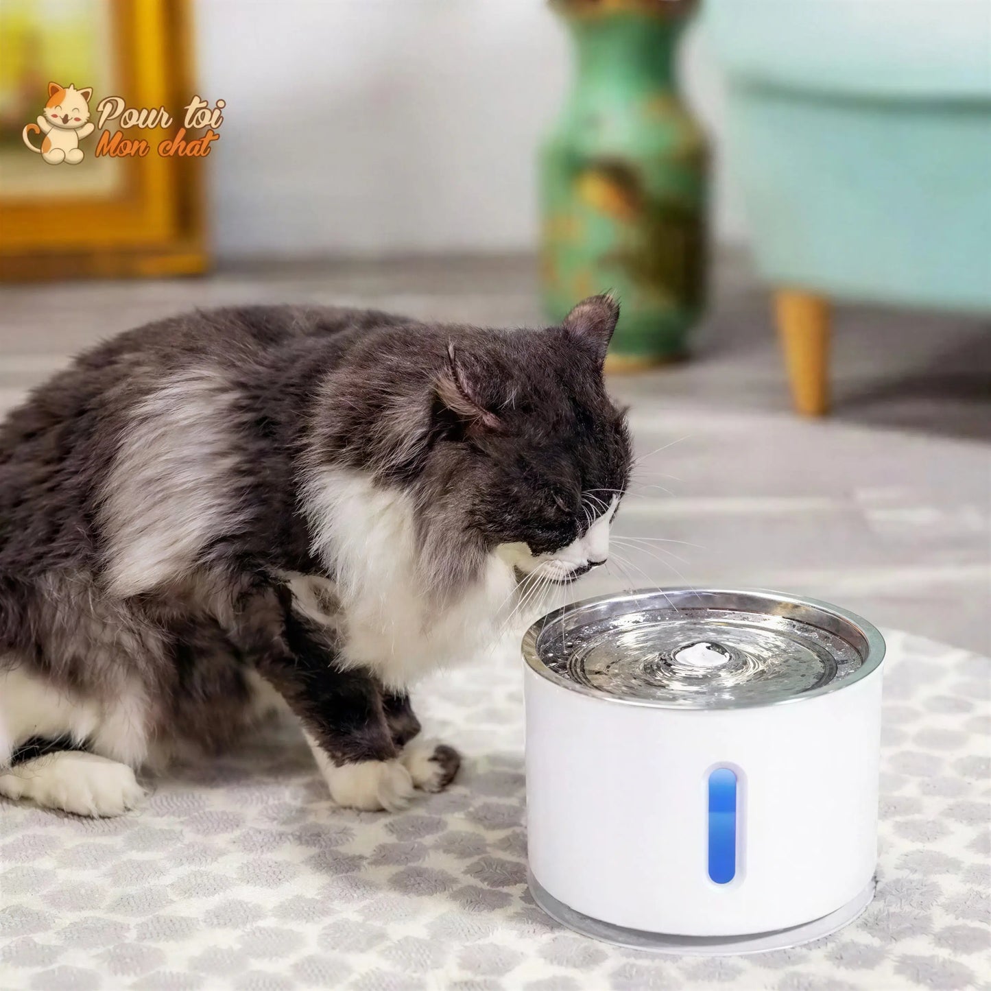 Fontaine à Eau Silencieuse pour Chat - WaterCat™ Pour toi Mon chat