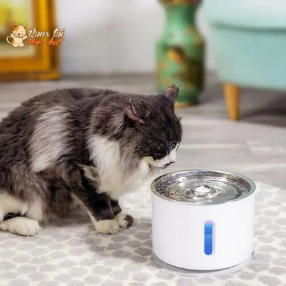 Fontaine à Eau Silencieuse pour Chat - WaterCat™ Pour toi Mon chat