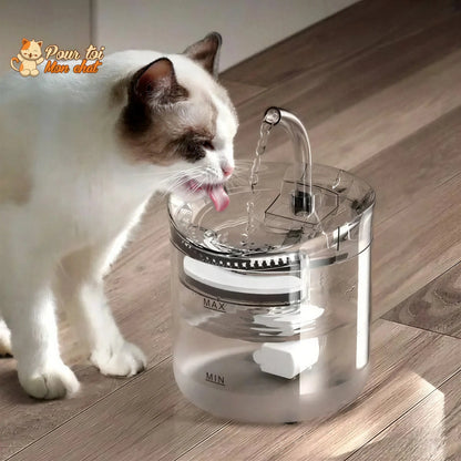 Fontaine à eau pour chat avec capteur automatique Pour toi Mon chat