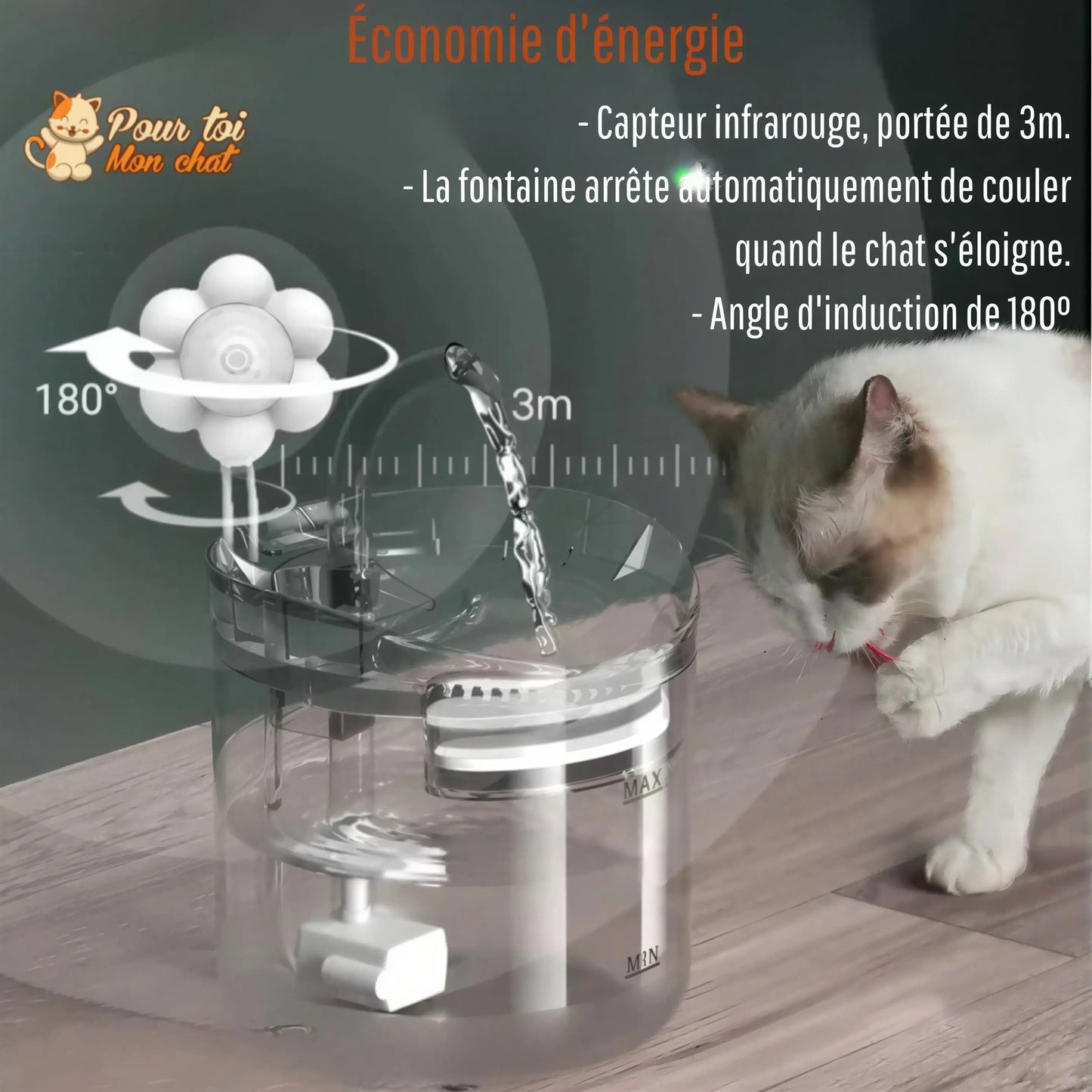 Fontaine à eau pour chat avec capteur automatique Pour toi Mon chat