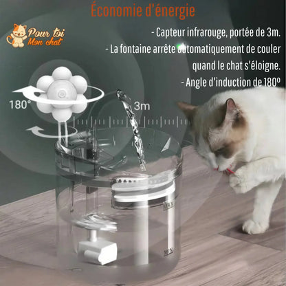 Fontaine à eau pour chat avec capteur automatique Pour toi Mon chat