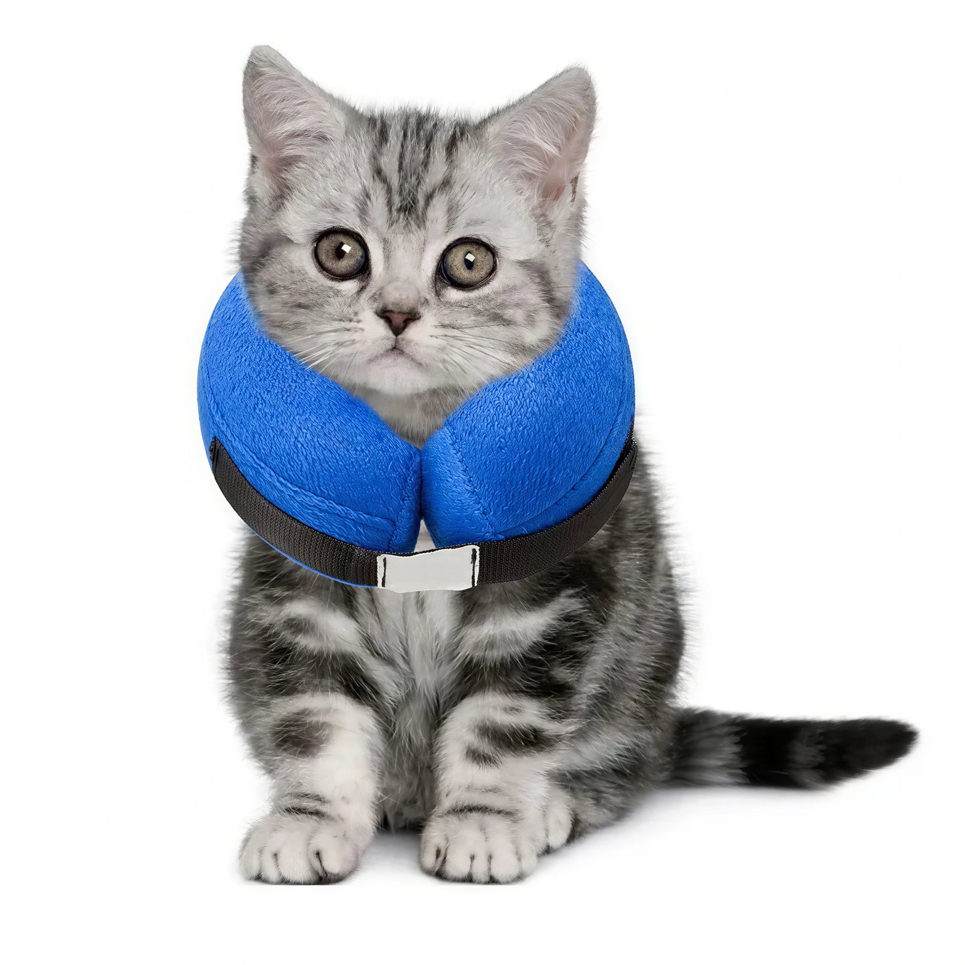 Collerette Gonflable Médicale avec Protection du Cou Pour toi Mon chat