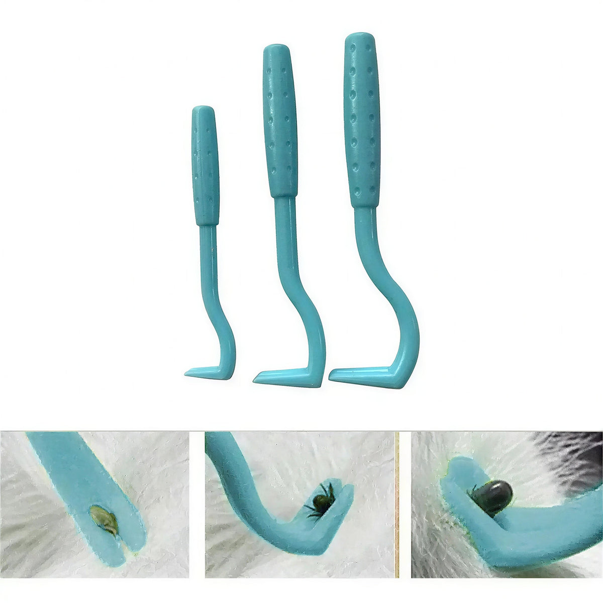 Lot de Trois Crochets à Tiques Bleus pour Chat Pour toi Mon chat
