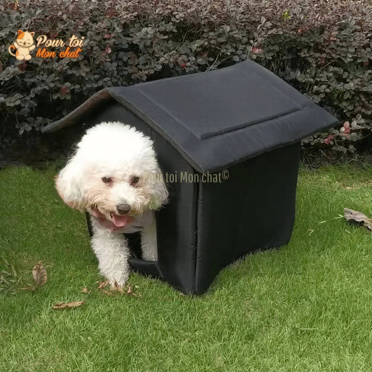 MAISON ÉTANCHE POUR CHAT D’EXTÉRIEUR - CABANE4CAT™ Pour toi Mon chat