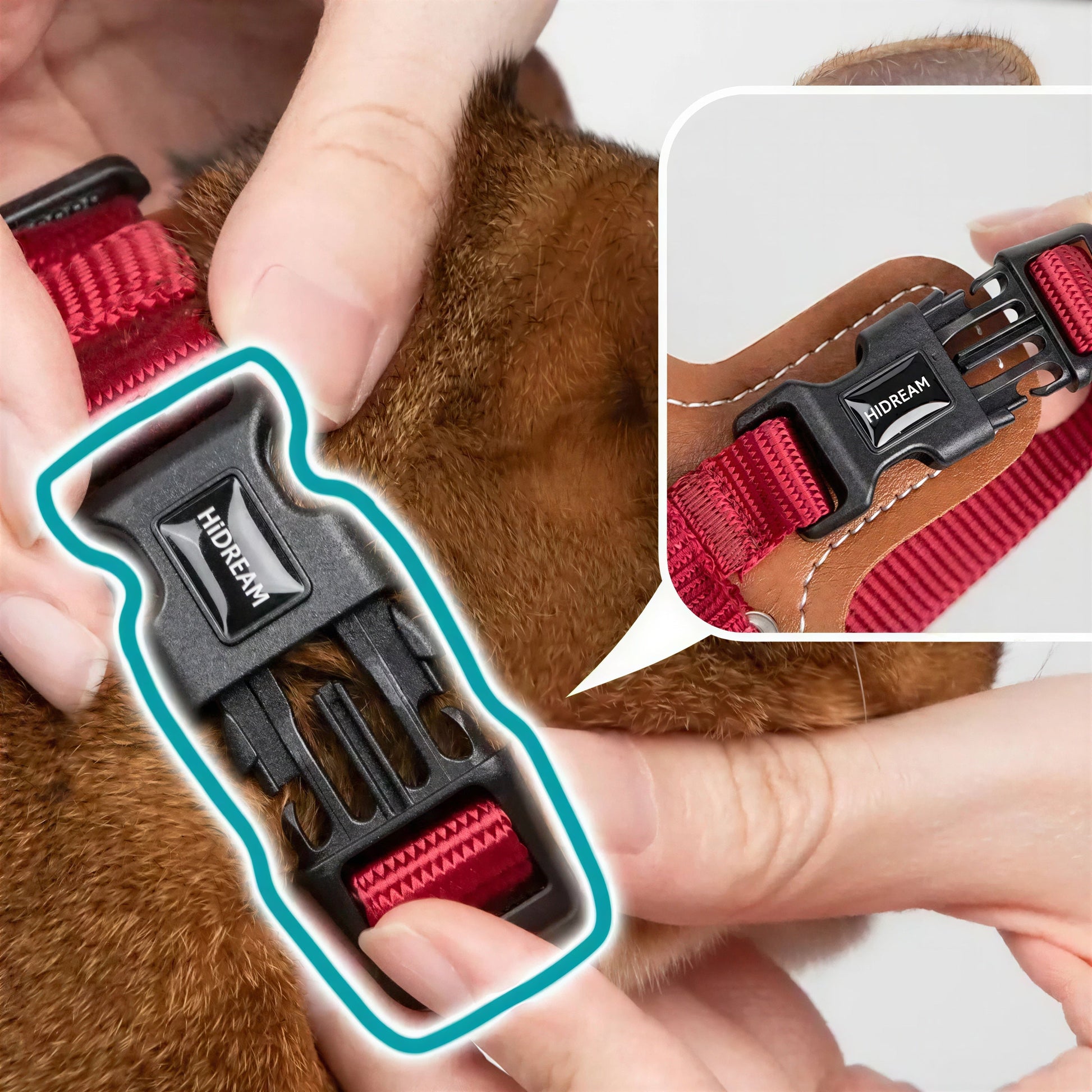 Harnais Chat Anti Fugue Léger et Réglable en Nylon et Cuir Pour toi Mon chat