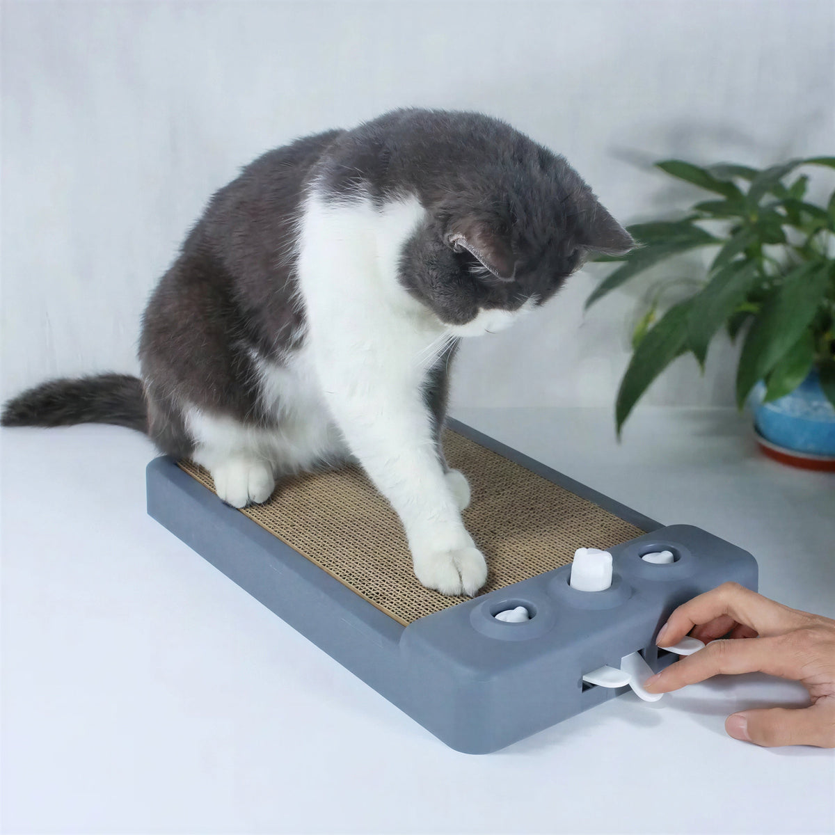 Planche à gratter en carton ondulé avec jeu à taupes pour chat Pour toi Mon chat