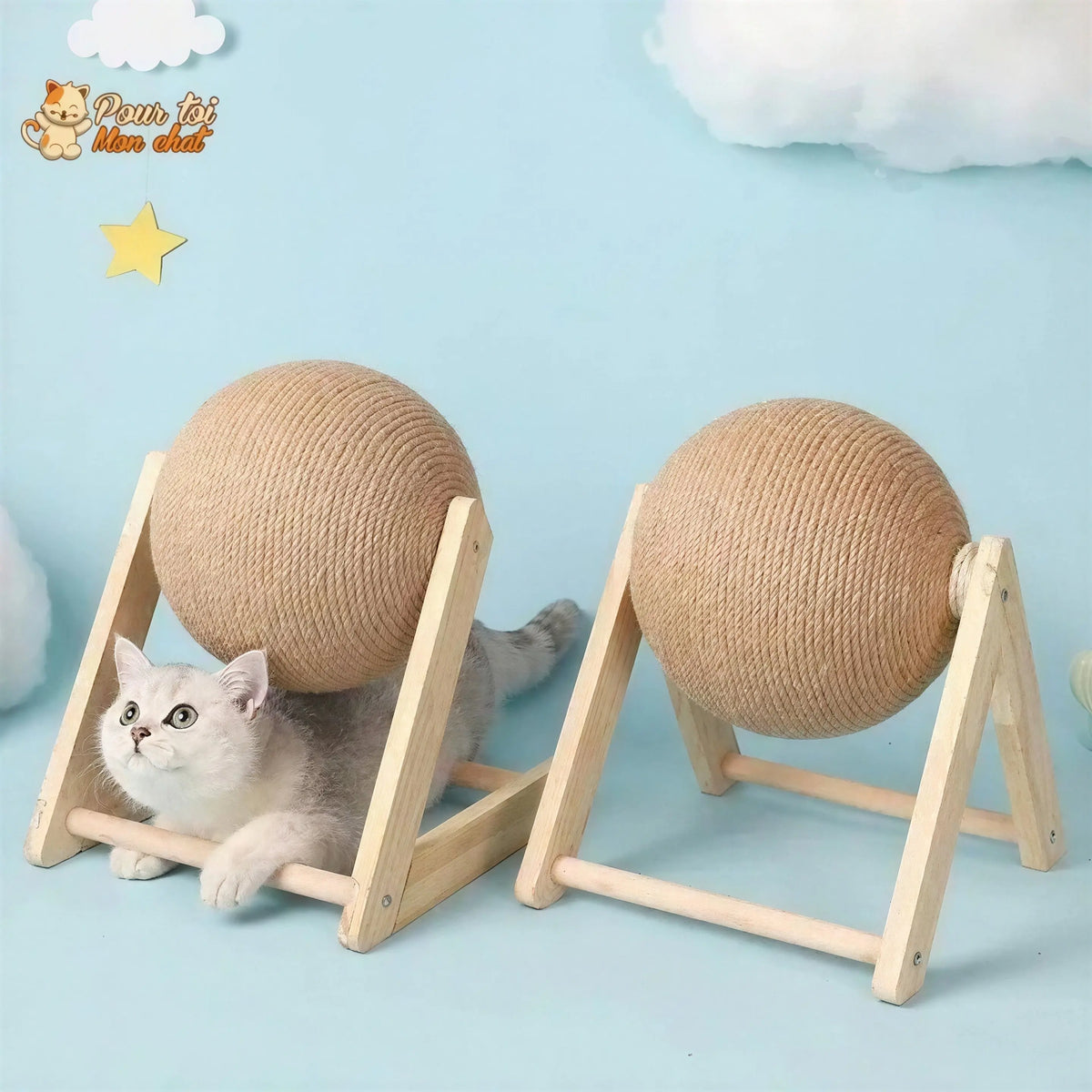 Griffoir brosse boule pour chat - Grif'Ball'Cat™ Pour toi Mon chat