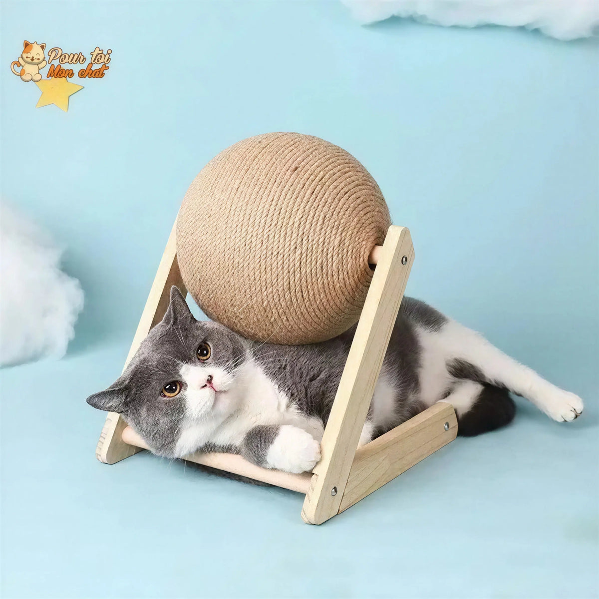 Griffoir brosse boule pour chat - Grif'Ball'Cat™ Pour toi Mon chat