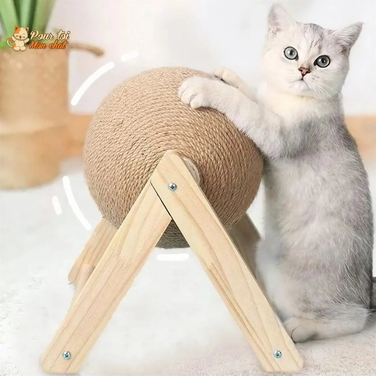 Griffoir brosse boule pour chat - Grif'Ball'Cat™ Pour toi Mon chat